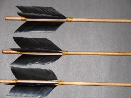 Black feathered Arrows