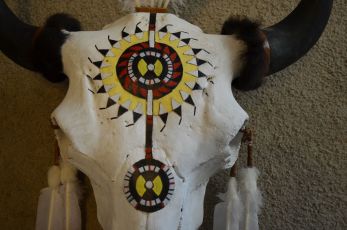 War bonnet Buffalo Skull