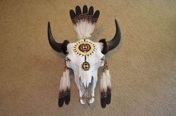 War bonnet Buffalo Skull