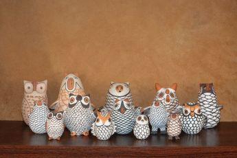 Pueblo Owls